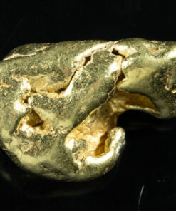 #454 Alaskan BC Natural Gold Nugget 12.28 Grams Genuine