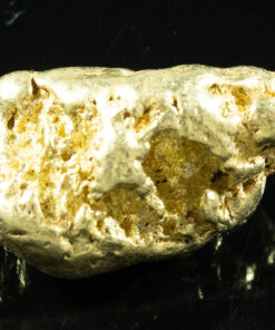 #552 Large Alaskan BC Gold Nugget 39.55 Grams Genuine