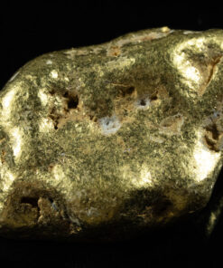 #553 Large Alaskan BC Gold Nugget 42.94 Grams Genuine