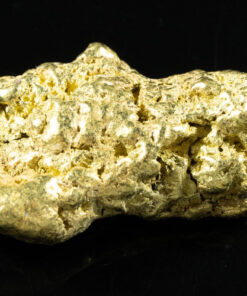 #555 Large Alaskan BC Gold Nugget 22.77 Grams Genuine