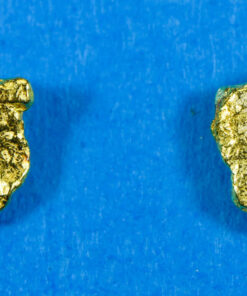 #576 Alaskan-Yukon BC Natural Gold Nugget Earrings 1.19 Grams