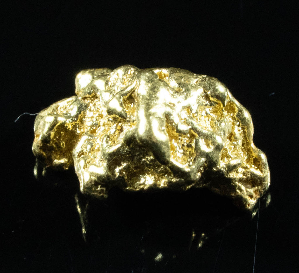 #6 Alaskan BC Natural Gold Nugget 1.56 Grams Genuine