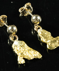 #635 Alaskan-Yukon BC Natural Gold Nugget Earrings 2.35 Grams