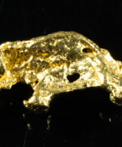 #781 Natural Gold Nugget Australian .59 Grams Genuine