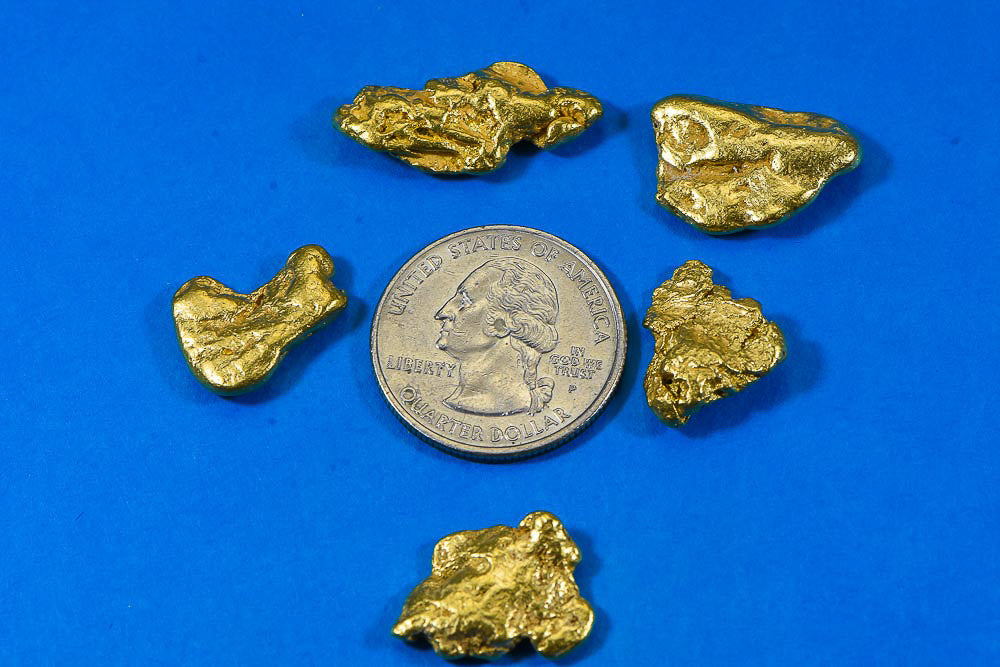 Alaskan BC Natural Gold Nugget 1 Troy Oz. Lot of 5-10 gram Nuggets Genuine B&C Grade