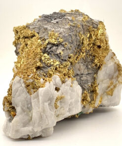 California Gold Bearing Quartz Rock -Oriental Mine - Gross Wt 908.13 Grams Gold Wt 29.20 OZT