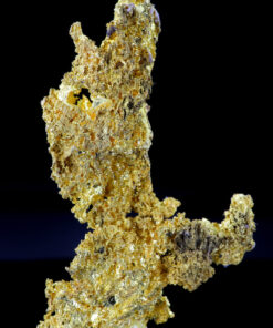 Crystalline Gold Nugget Specimen 37.41 Grams Mocking Bird Mine Mariposa County California Rare