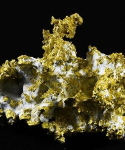 Hand Etched Gold Bearing Quartz Specimen Original 16-1 Mine California 492.24 Grams 14.02 OZ Genuine