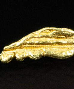 L-44 Alaskan BC Dendritic Exotic Shaped Gold Nugget "Special Collection" .49 Grams