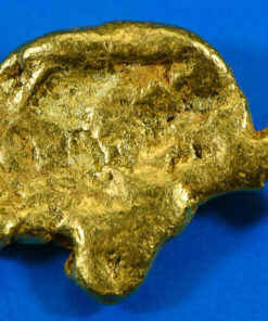 Large Alaskan BC Natural Gold Nugget "The Turtle" 50.31 Grams Genuine 1.61 Troy Ounces
