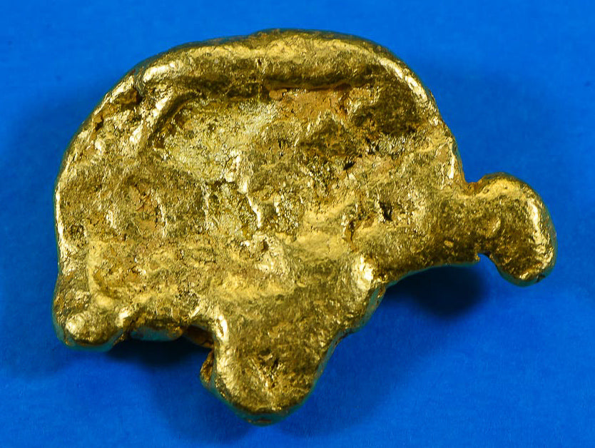 Large Alaskan BC Natural Gold Nugget "The Turtle" 50.31 Grams Genuine 1.61 Troy Ounces