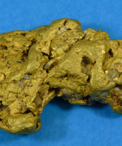 Large Alaskan Natural Gold Nugget 249.22 Grams Genuine 8.01 Troy Ounces 98.46% Pure