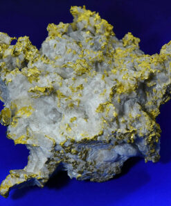 Large Gold Bearing Quartz Specimen Original 16-1 Mine California 696.42 Grams 22.379 OZ Genuine
