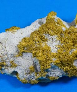 Large Gold Bearing Quartz Specimen Sierra Mining District California 208.69Grams 6.71 OZ Genuine