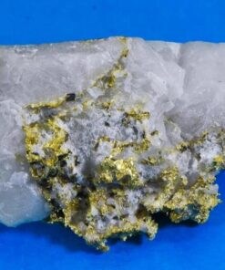 Large Gold Bearing Quartz Specimen Sierra Mining District California 58.60 Grams Genuine