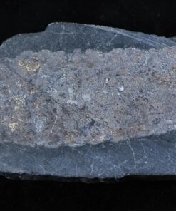 Nevada Silver Quartz Ore 125.08 Grams, 4.02 Troy Ounces Genuine