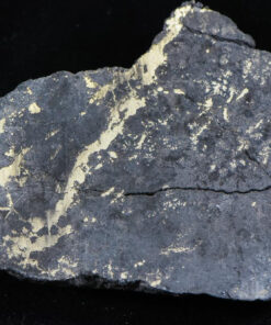 Nevada Silver Quartz Ore 160.23 Grams, 5.15 Troy Ounces Genuine