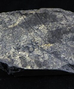 Nevada Silver Quartz Ore 390.26 Grams, 12.54 Troy Ounces Genuine