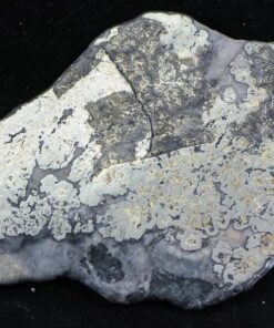 Nevada Silver Quartz Slab 40.70 Grams, 1.30 Troy Ounces Genuine $3.00 PPG