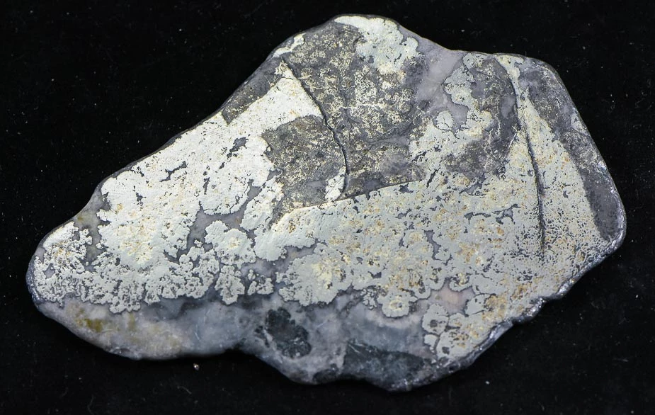 Nevada Silver Quartz Slab 40.70 Grams, 1.30 Troy Ounces Genuine $3.00 PPG