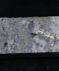 Nevada Silver Quartz Slab 48.80 Grams, 1.56 Troy Ounces Genuine $3.00 PPG