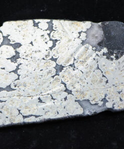 Nevada Silver Quartz Slab 75.91 Grams, 2.44 Troy Ounces Genuine $3.00 PPG