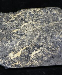 Nevada Silver Quartz Slab 95.41 Grams, 3.06 Troy Ounces Genuine $3.00 PPG