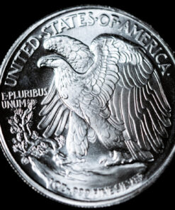 Silver 1 Oz Coin Walking Liberty .999 Silver