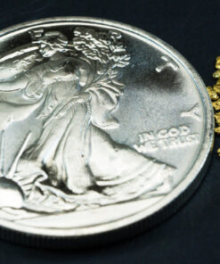 Silver 1 Oz Coin Walking Liberty .999 Silver + 50 Piece Lot of #16 Mesh